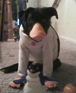 Penguin Dog Halloween Costume