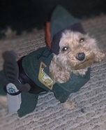 Peter Pan Costume for Dogs