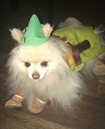Peter Pan Dog Homemade Costume