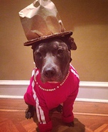 Pharrell Dog Homemade Costume