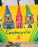 Phoenix and Gryphon the Crayon Box Homemade Costume