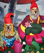 Phoenix and Gryphon the Garden Gnomes Homemade Costume