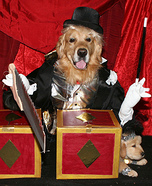 Phoenix and Gryphon's Magic Show Dogs Costume