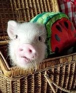 Piggy Watermelon Costume