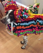 Pinata Dog Homemade Costume