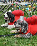 Pincushions Homemade Costume