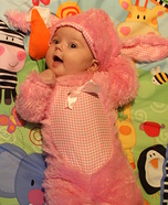 Pink Wabbit Baby Costume