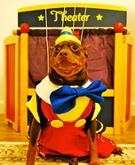 Pinocchio Dog Costume