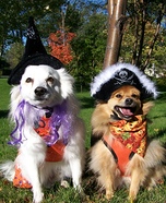 Homemade Costumes for Pets - Costume Works (page 20/70)