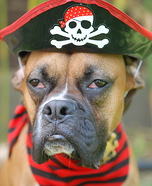 Pirate Dog Costume
