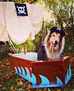 Pirate Dog Homemade Costume