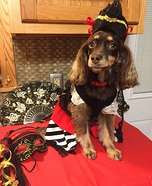 Pirate Dog Homemade Costume