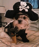 Pirate Dog Homemade Costume