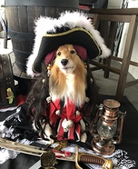 Pirate Sadie Dog Homemade Costume