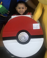 Poke-ball Homemade Costume