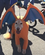 Pokemon Charizard Dog Homemade Costume