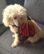 Poodle Butterfly Costume