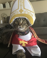 Pope Benedict Cat Costume