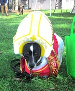 Pope Dog Costume