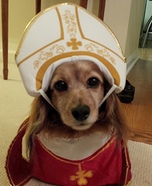 Pope Elwood Costume