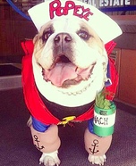 Popeye Homemade Costume for Dogs