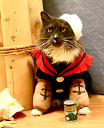 Popeye the Sailor Kitty Homemade Costume