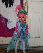 Poppy Homemade Costume