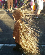 Porcupine Baby Costume