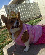 Pretty Princess Dog Costume
