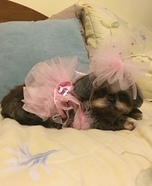 Princess Ballerina Dog Costume