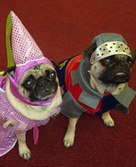 Princess Miso and Sir Opa homemade costumes for dogs