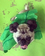 Pug Palm Tree Homemade Costume