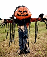Pumpkin Patch Scarecrow Homemade Costume