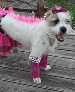 Punk Rocker Princess Dog Homemade Costume