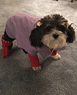 Punky Brewster Dog Homemade Costume