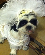 Puppy Bride Costume