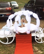 Puppy Cinderella Homemade Costume