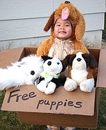 Free Puppies Costume