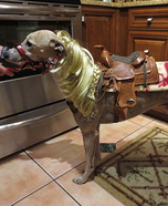 Quarter Horse Dog Costume