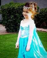 Queen Elsa Costume