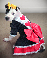 Queen of Hearts Costume for Dogs