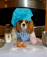 Rachael Ray Dog Homemade Costume