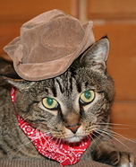 Cat Cowboy costume
