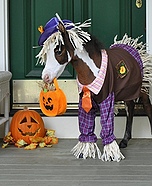 Tiny Horses in Halloween Costumes