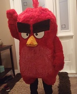 Red Bird Homemade Costume