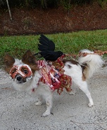Homemade Roadkill Zombie Dog Costume