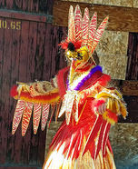 Royal Bird Homemade Costume