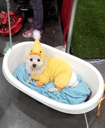 Rubber Duck Dog Costume