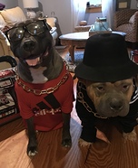 Run-DMC Dog Homemade Costume