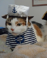 Sailor and Pirate Cats Homemade Costume